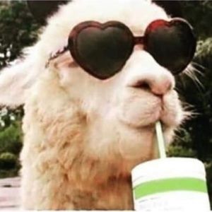 Meet your Posher, Elvin